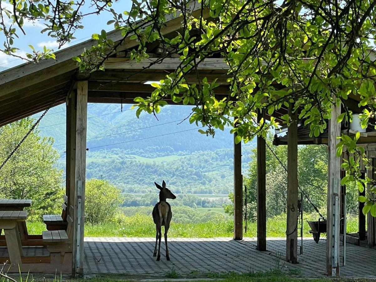 Romanticka Chatka So Saunou V Prirode Turany Exterior photo